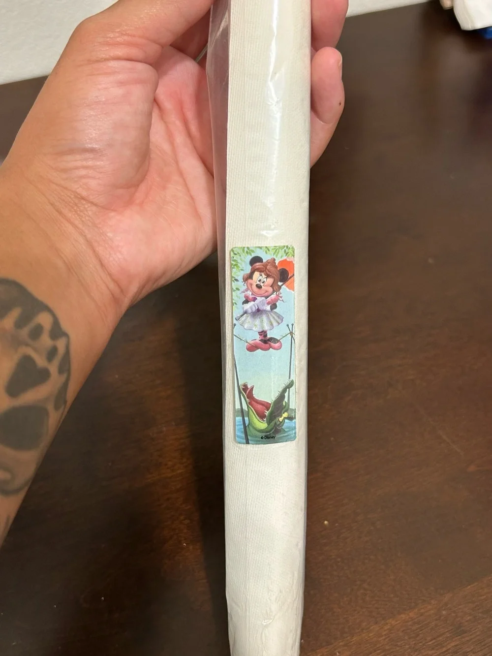RARE Disneyland Haunted Mansion Minnie Mouse Stretching Portrait Canvas 2014